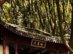 -上海佘山国家森林公园天马山园