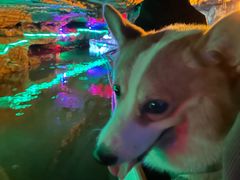 -陶祖圣境风景区