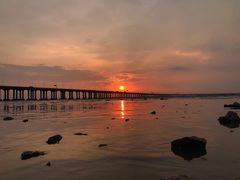 -宝安西湾红树林湿地公园