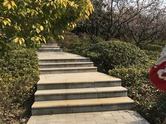 -云龙山