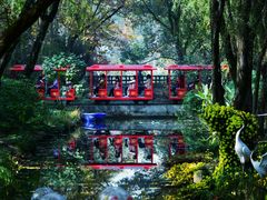 -上海共青森林公园