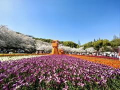 -苏州上方山国家森林公园
