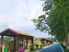 -夏河溪乡野公园