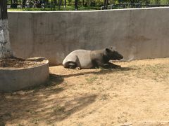 -石家庄市动物园