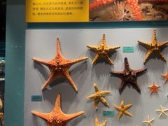 -天津自然博物馆