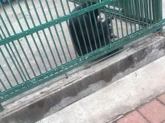 -秦皇岛野生动物园