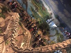 景点-自贡恐龙博物馆