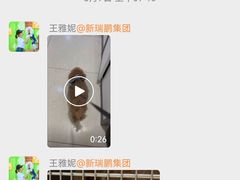 -美联众合动物医院·24h转诊中心