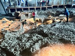 -自贡恐龙博物馆