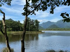 -大九湖
