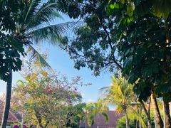 -三亚海棠湾万丽度假酒店