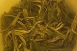 -姜美堂·蒸姜除湿の纤体美颜馆