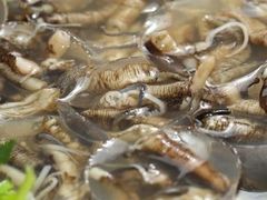 土笋冻-铭聚章鱼土笋冻(松柏店)