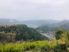 -桑洲油菜花景区