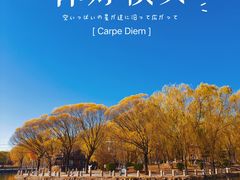 -仰山公园