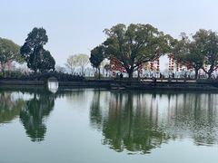 -无锡蠡湖国家湿地公园-蠡园