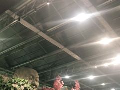 大堂-滕头生态酒店(奉化店)