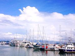 -东姑阿都拉曼海洋公园