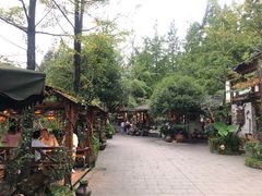 -青城甲(青城山店)