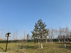 -西海子公园