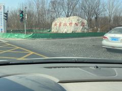-西青郊野公园
