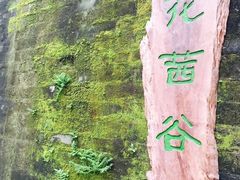 -小洲村