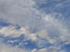 -厦门国家会计学院