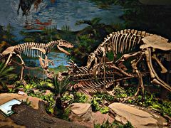 -自贡恐龙博物馆