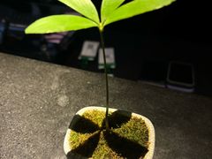 -Love Story爱情故事·养生SPA会所(新侨店)