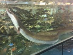 -钓台野鱼馆(钱江国际时代广场店)