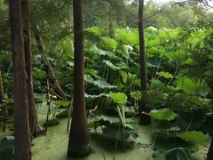 -云龙湖旅游景区