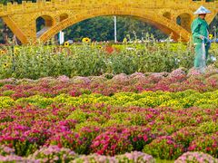 -海心沙亚运公园