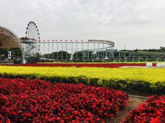 -百万葵园