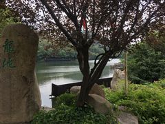 -白马涧龙池景区