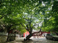 -青檀寺景区