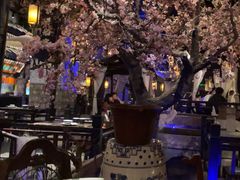 -绿茶餐厅(朝阳大悦城店)