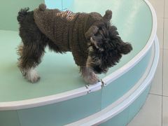 -怪兽屋·羊驼·猫咖·狗咖(俊华广场店)