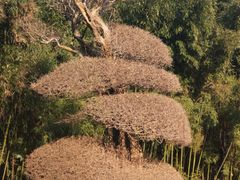 -苏州河梦清园环保主题公园