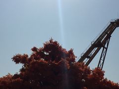-嘉峪关方特丝路神画