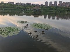 -前关湿地公园
