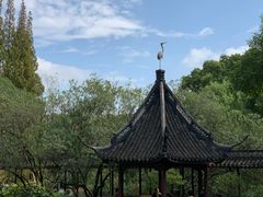-上海醉白池公园