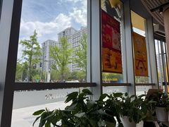 -麦当劳(北苑秋实路店)