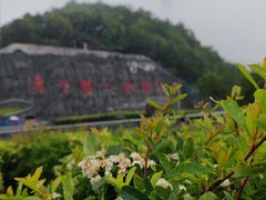 -重庆云阳龙缸景区