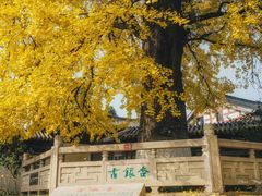 -常熟方塔园