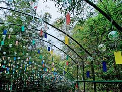 -陶祖圣境风景区