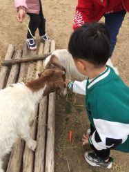 -上美四季动物农场