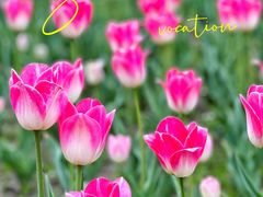 -长春公园(普阳街道)