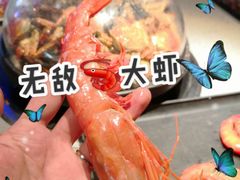 -乔哥铭洋海鲜自助(皇城恒隆广场店)