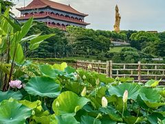 -广州莲花山旅游区