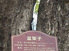 -粤晖园